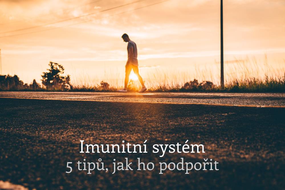 imunitní systém