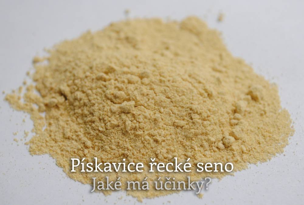 pískavice řecké seno