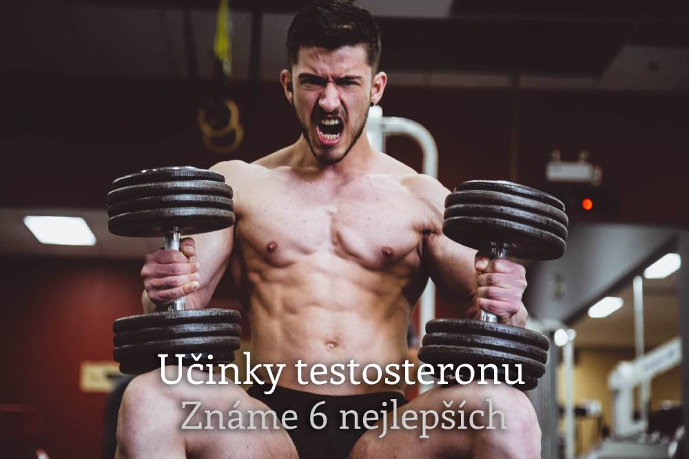 účinky testosteronu